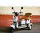 Электротрицикл пассажирский AVM City 650