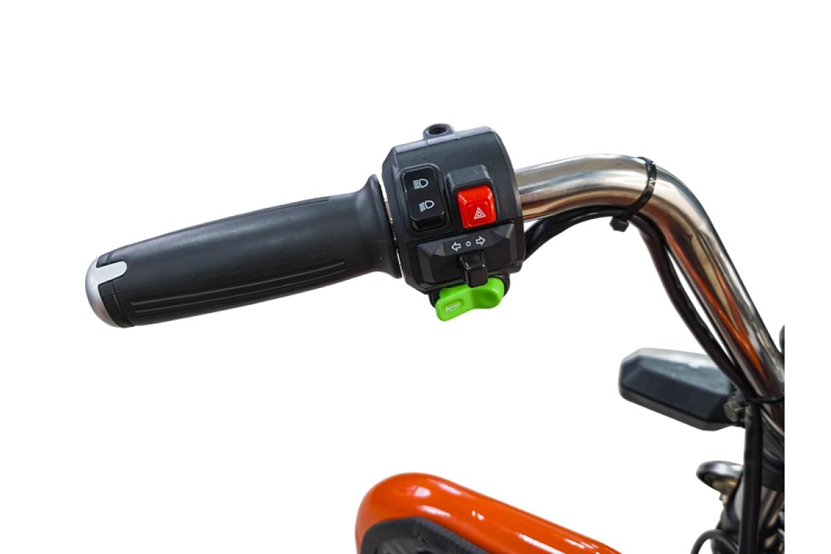 Грузовой электрический трицикл Smart8 Bizon