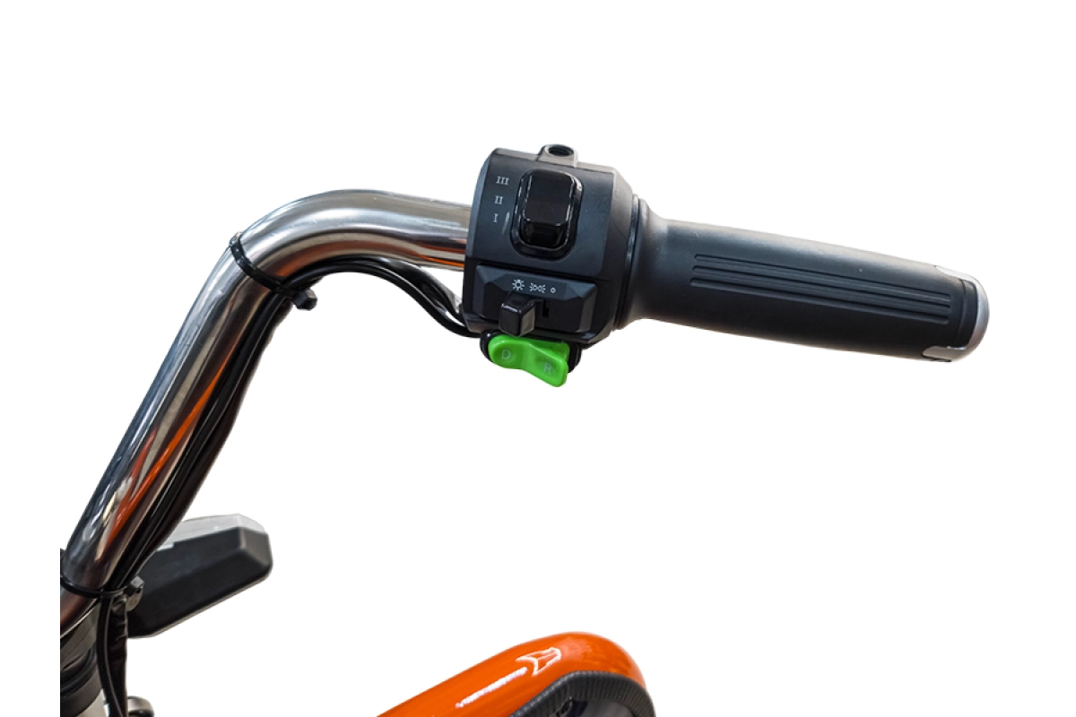 Грузовой электрический трицикл Smart8 Bizon