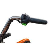 Грузовой электрический трицикл Smart8 Bizon
