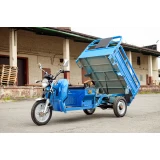 Электротрицикл грузовой AVM Cargo 1500