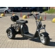 Электроскутер SmartBalance X11 Trike