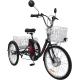 Электровелосипед AVM E-ALFA TRIKE 24
