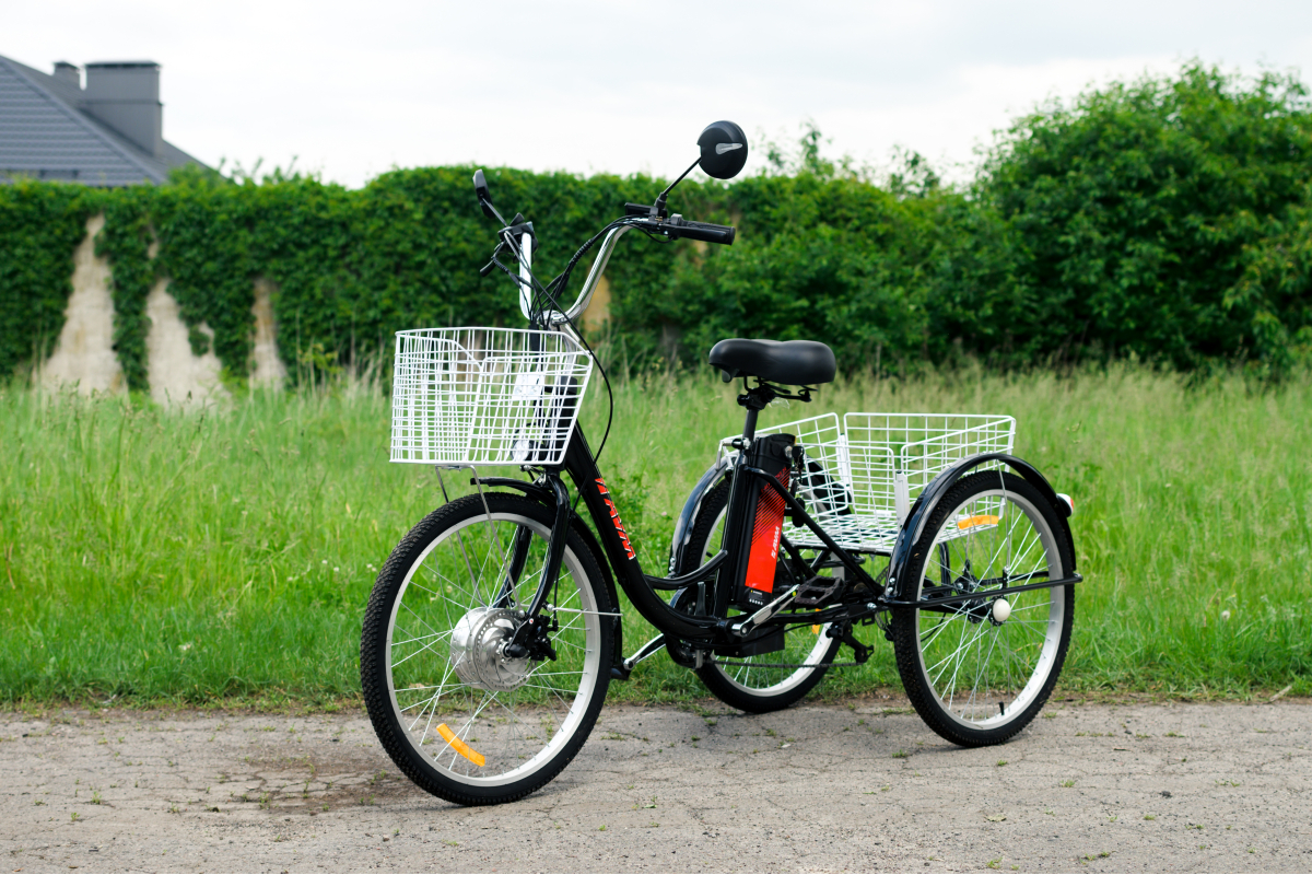 Электровелосипед AVM E-ALFA TRIKE 24