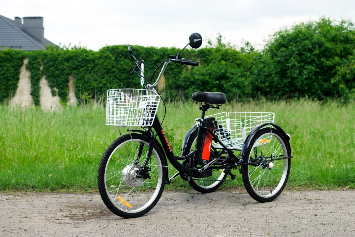 Электровелосипед AVM E-ALFA TRIKE 24