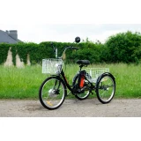 Электровелосипед AVM E-ALFA TRIKE 24