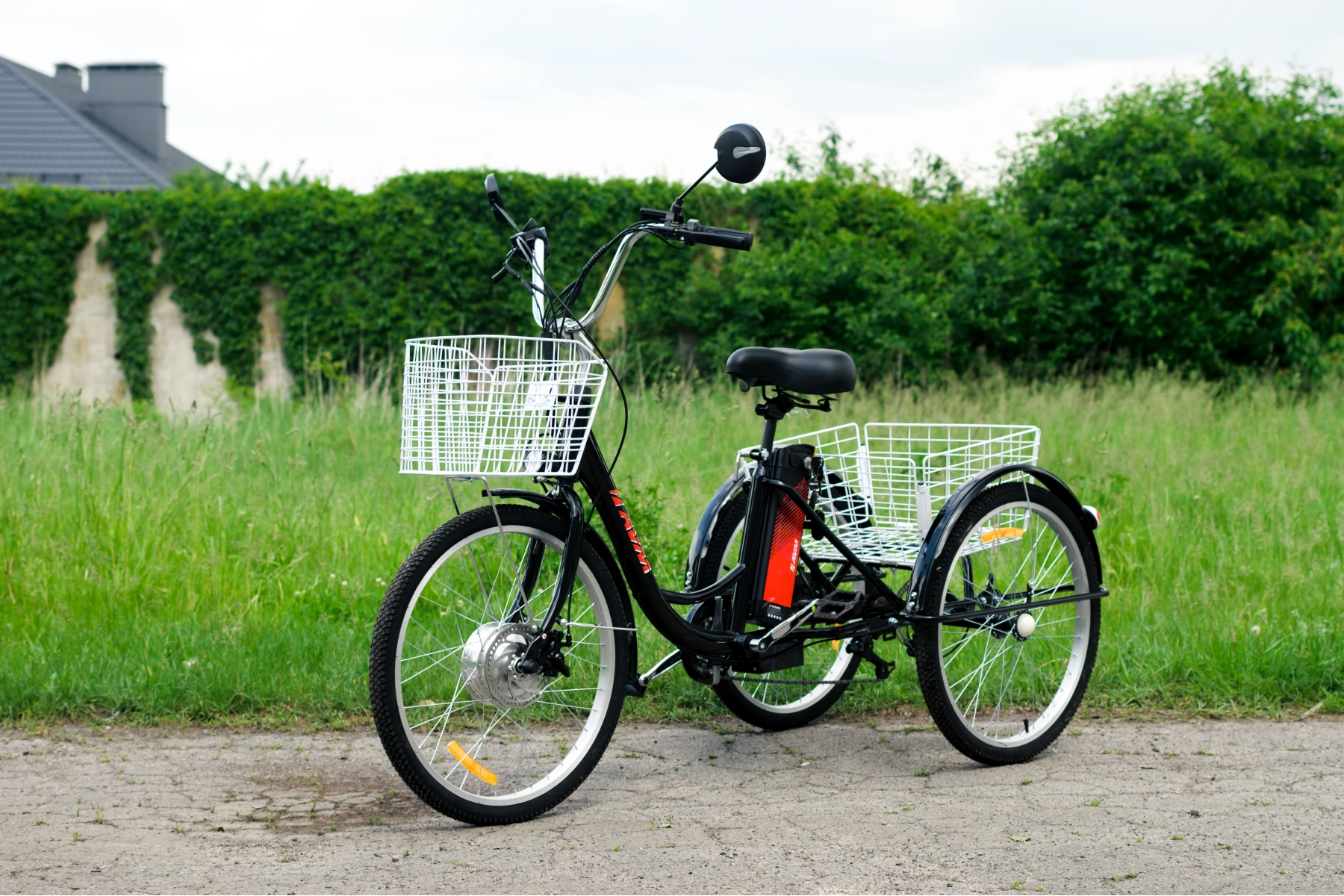 Электровелосипед AVM E-ALFA TRIKE 24