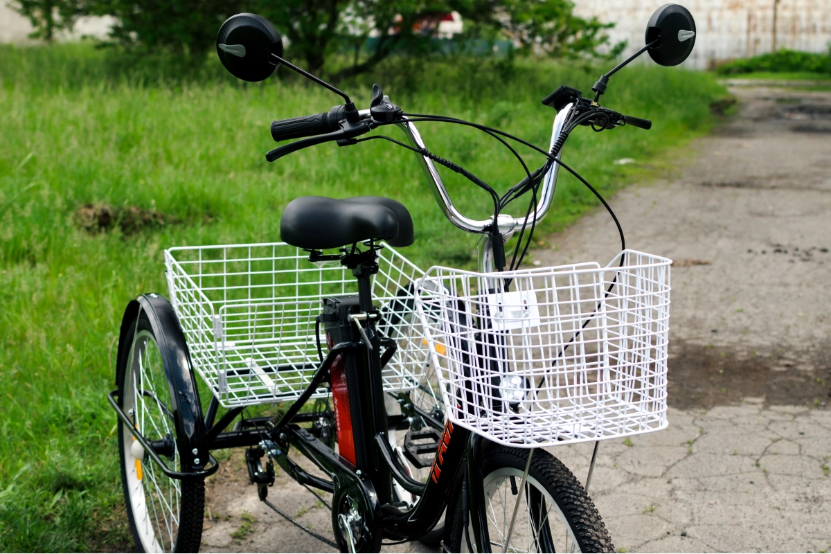 Электровелосипед AVM E-ALFA TRIKE 24