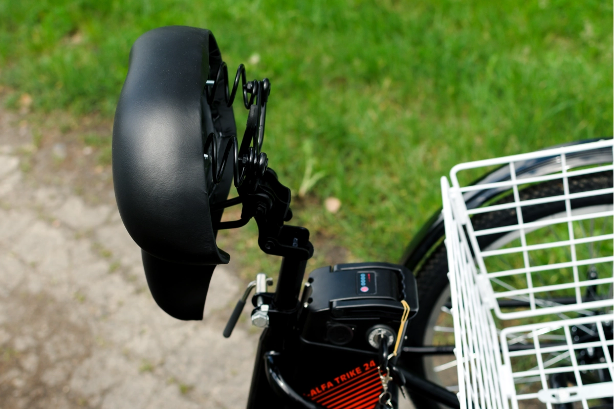 Электровелосипед AVM E-ALFA TRIKE 24