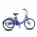 Электровелосипед AVM E-ALFA TRIKE 24 Электровелосипед AVM E-ALFA TRIKE 24