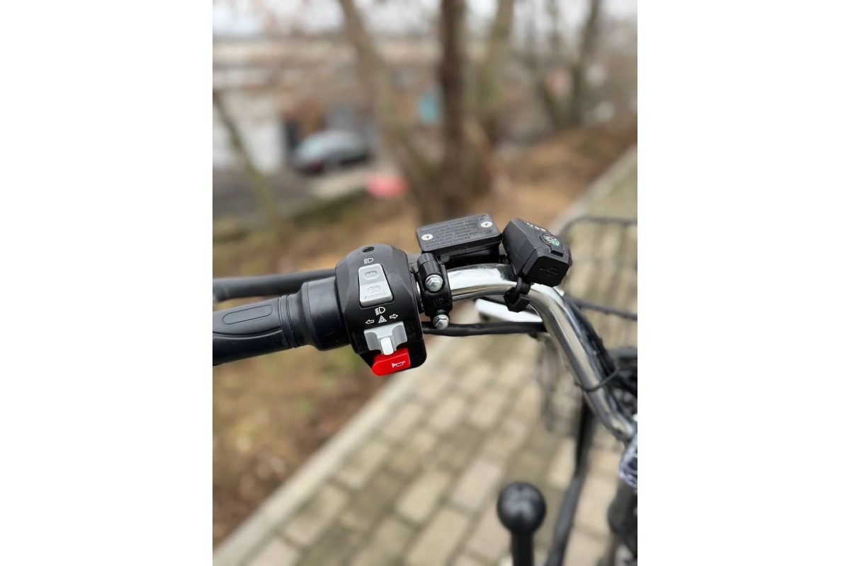 Электроскутер Terax Cargo ZG