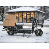Электроскутер Terax Cargo ZG