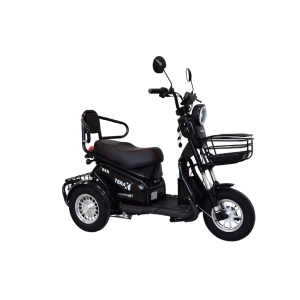 Электротрицикл Terax BIGGI чёрный