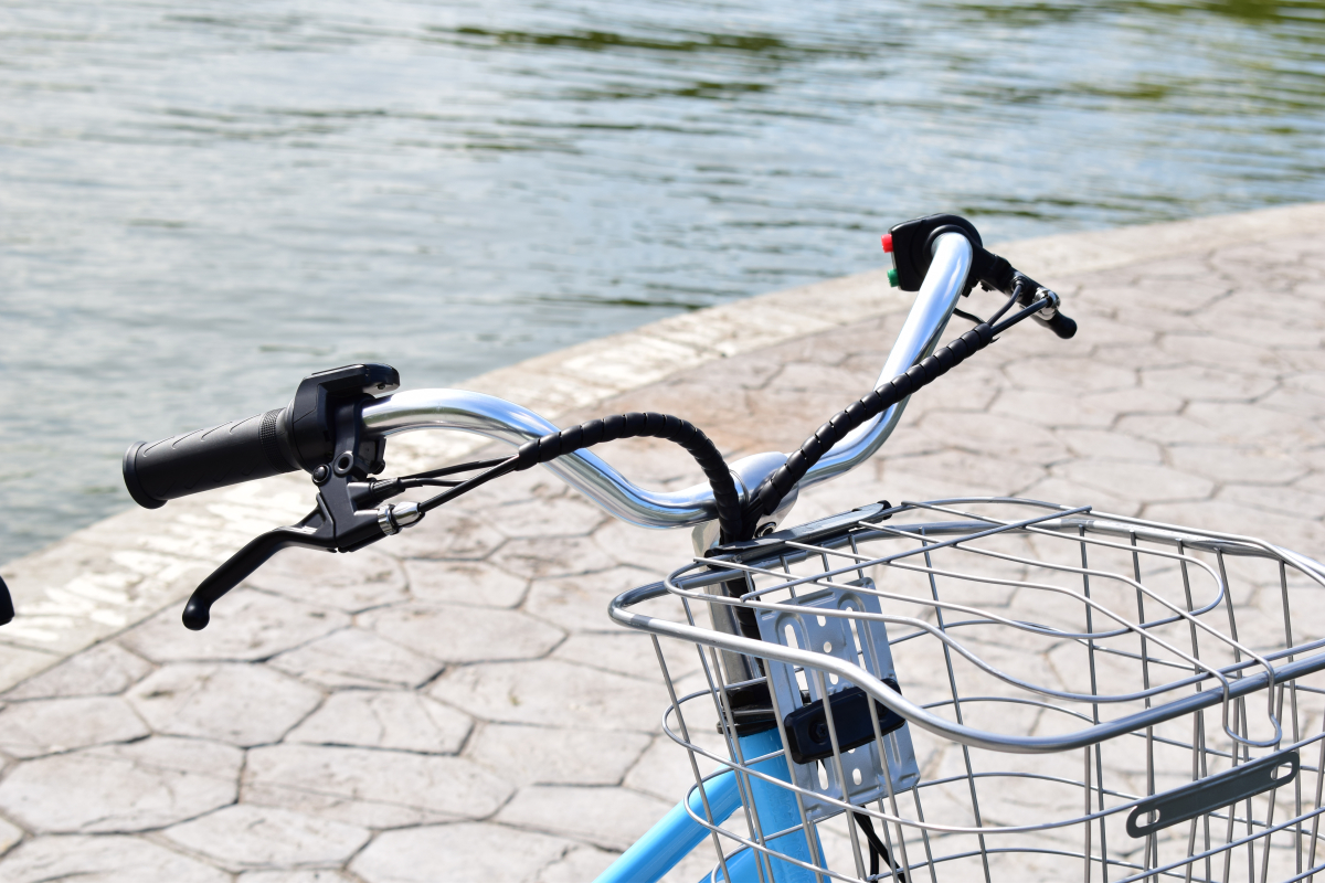 Электровелосипед TERAX ALFA NS008